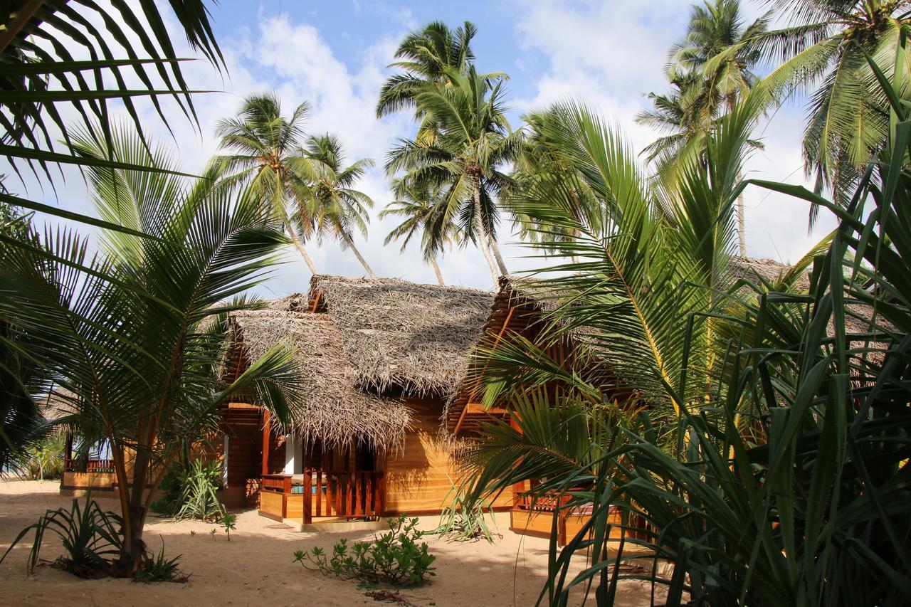 Shiva'S Beach Cabanas タンガラ エクステリア 写真