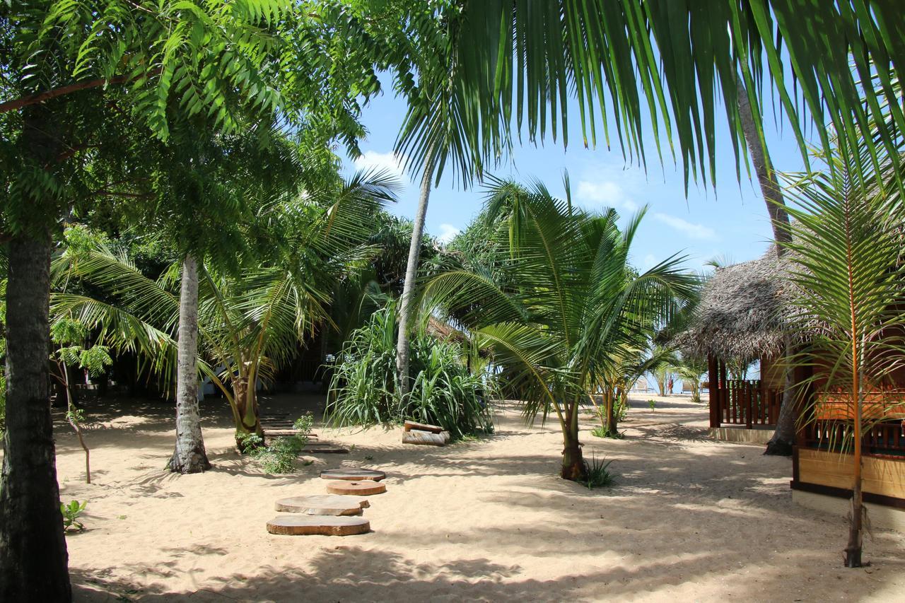 Shiva'S Beach Cabanas タンガラ エクステリア 写真